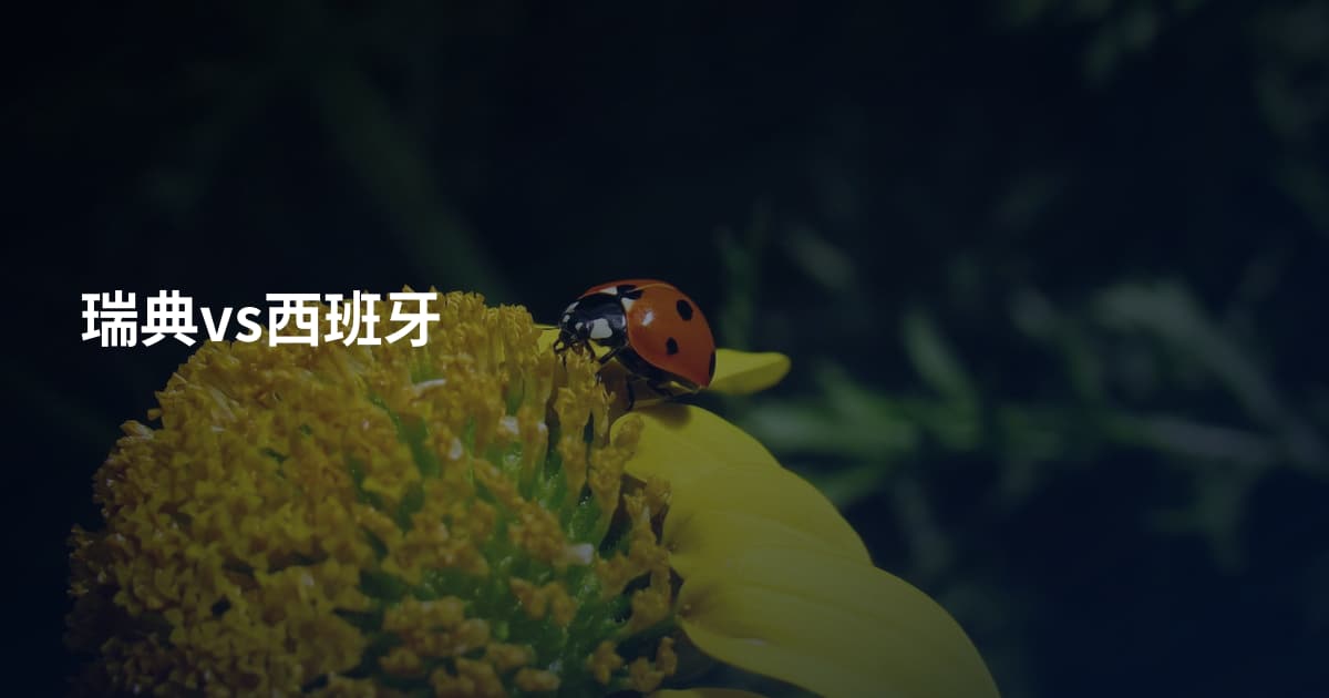 瑞典vs西班牙