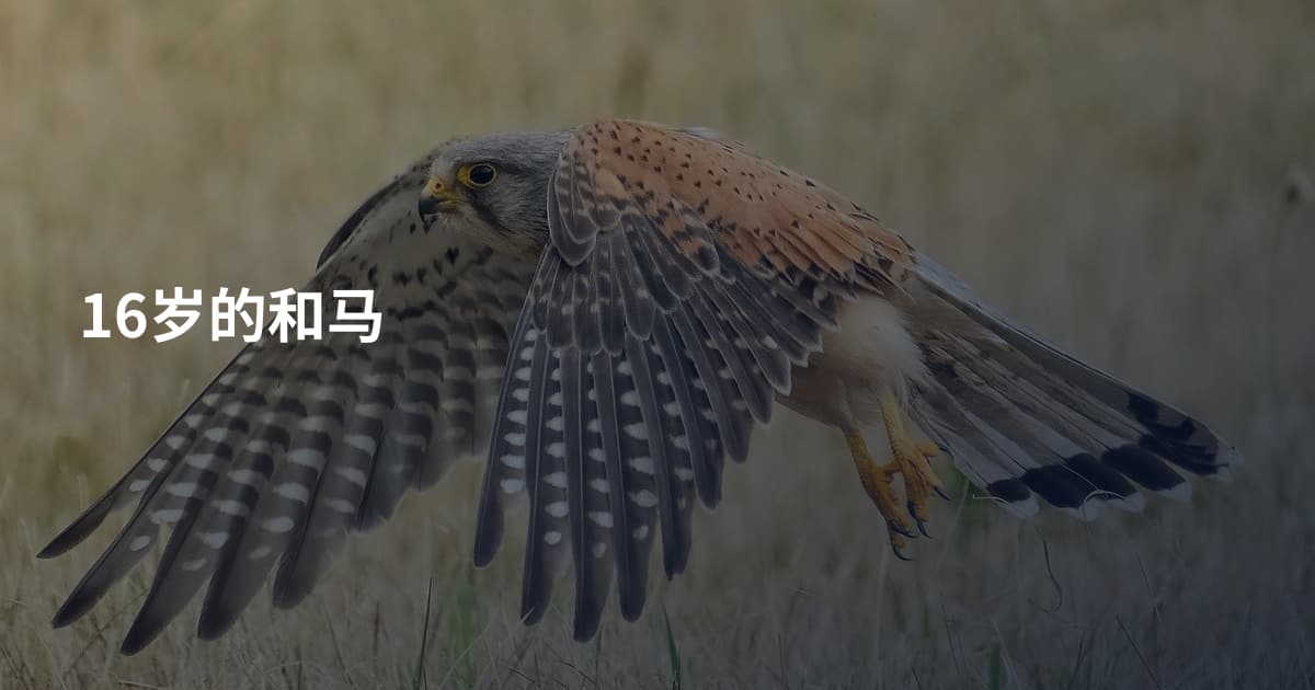 16岁的和马