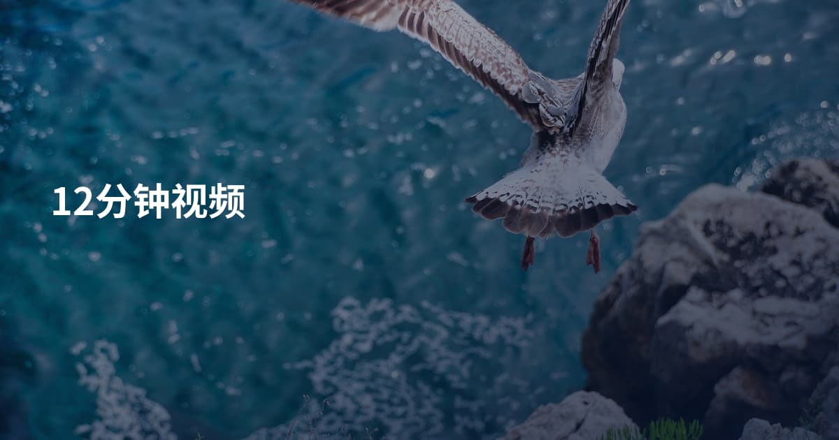 12分钟视频