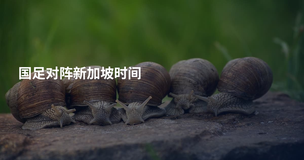 国足对阵新加坡时间