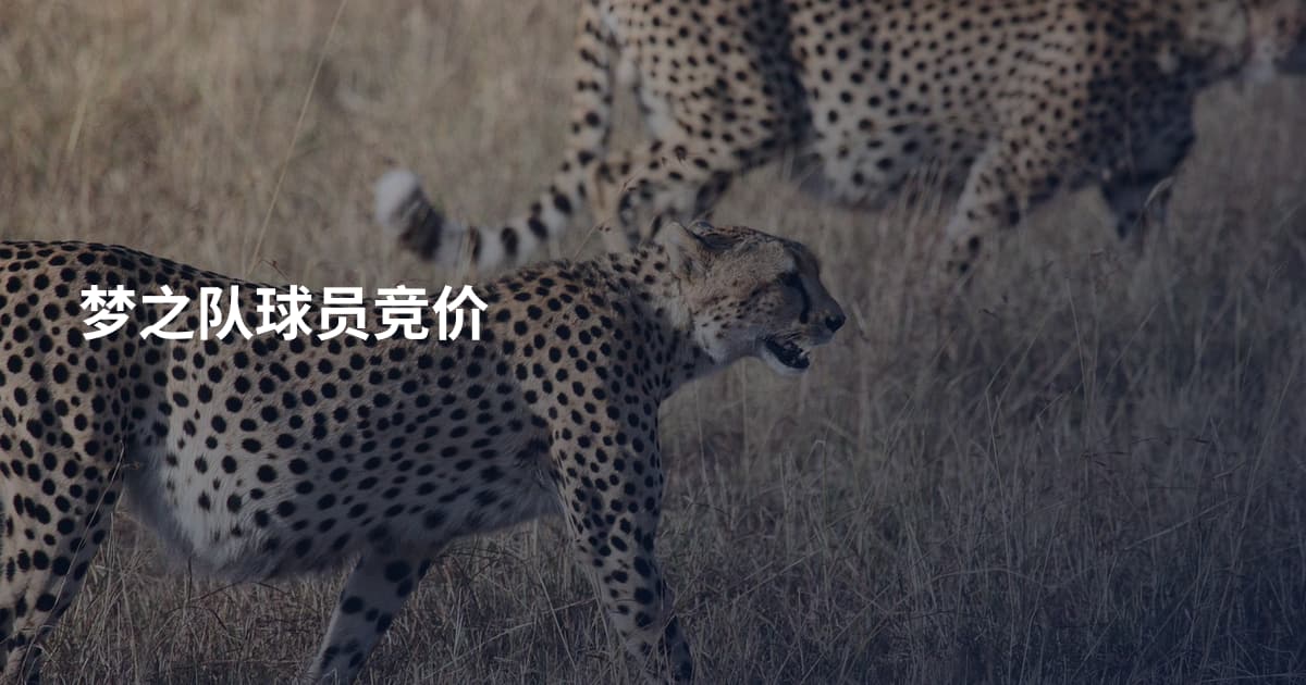 梦之队球员竞价