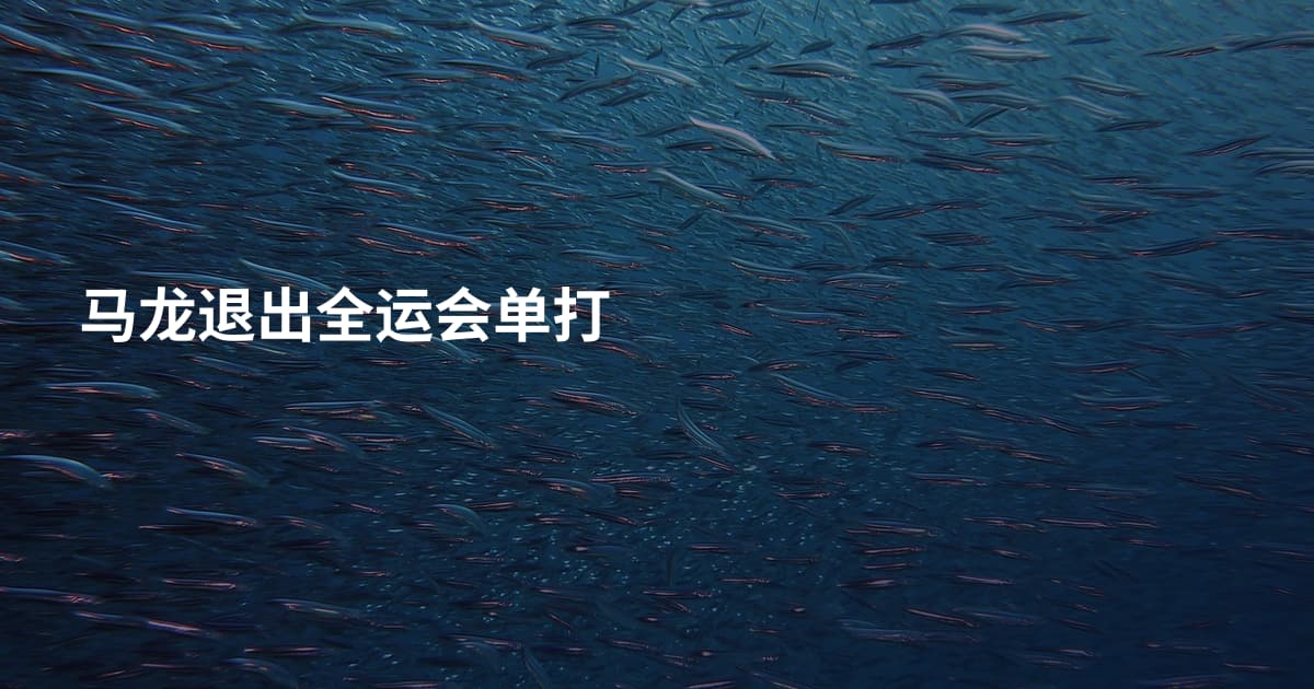 马龙退出全运会单打