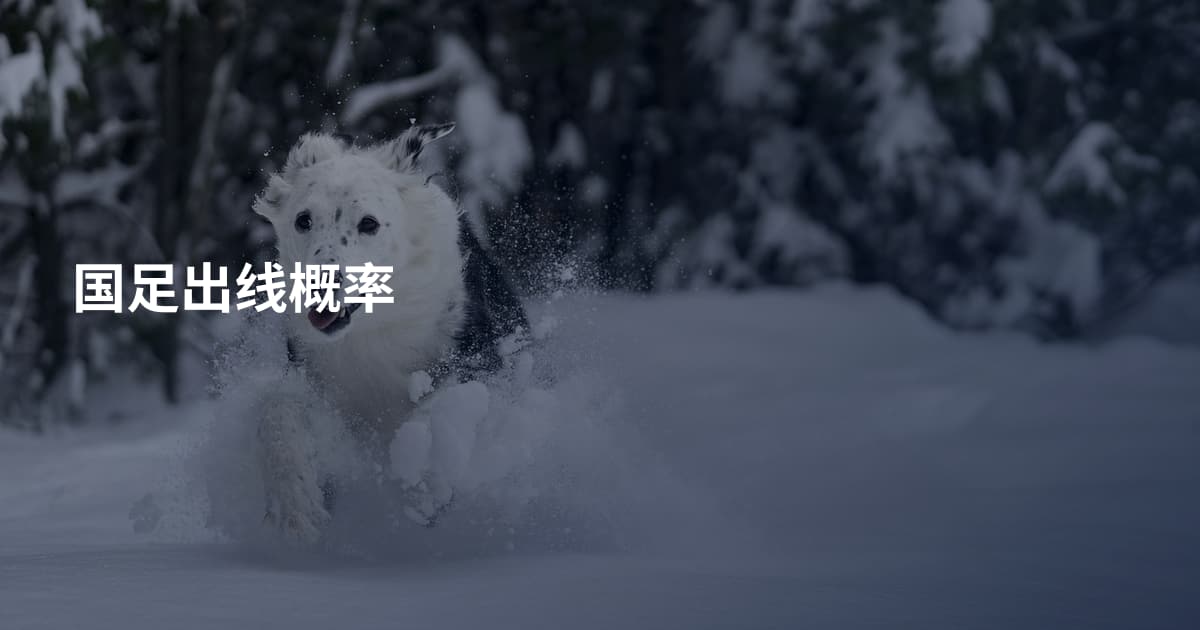 国足出线概率