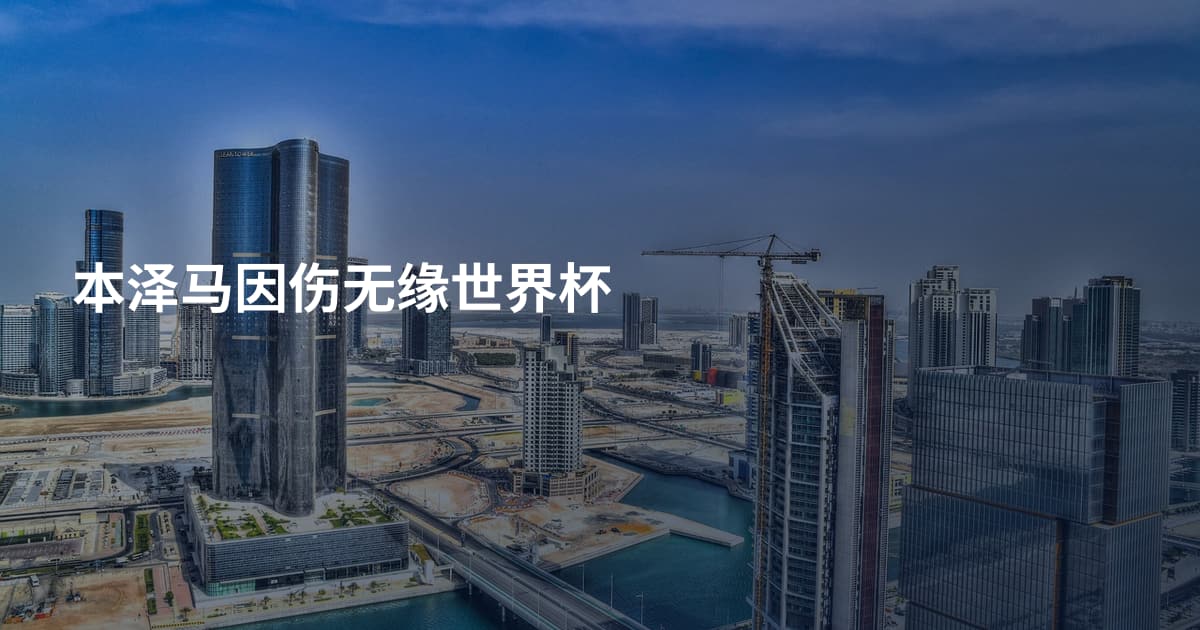 本泽马因伤无缘世界杯