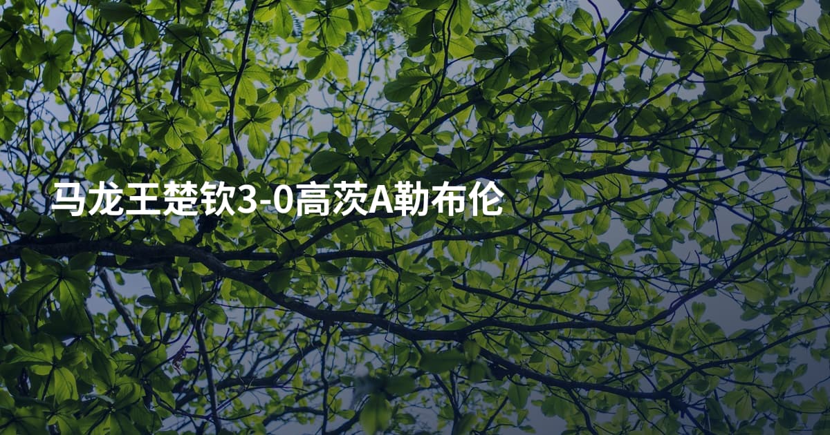 马龙王楚钦3-0高茨A勒布伦