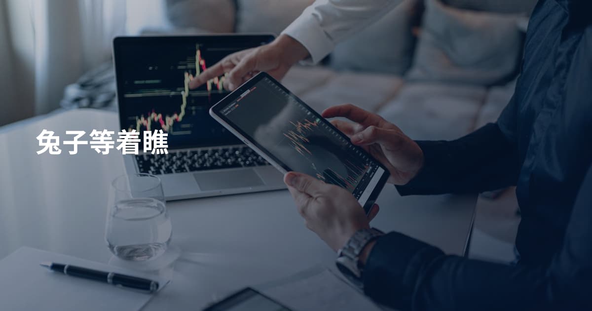 兔子等着瞧