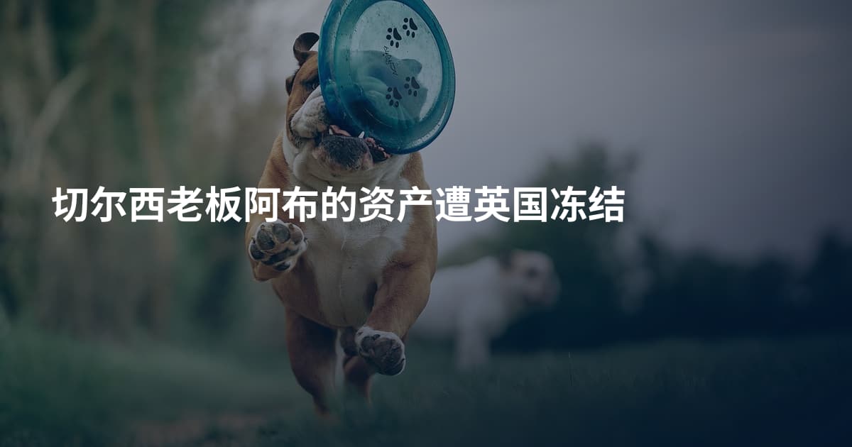 切尔西老板阿布的资产遭英国冻结