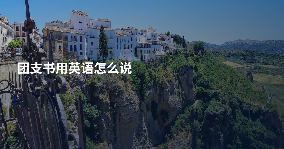 团支书用英语怎么说