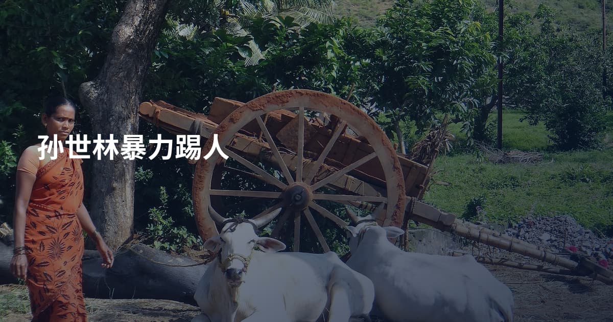 孙世林暴力踢人