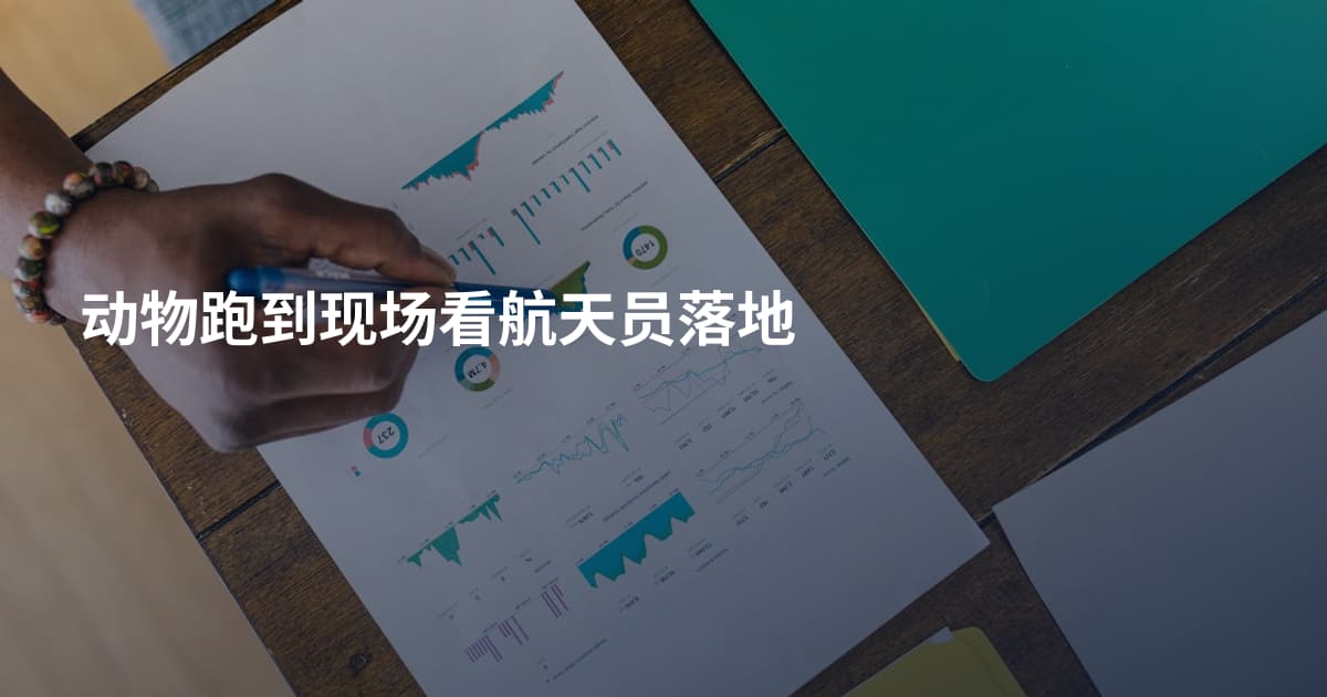动物跑到现场看航天员落地