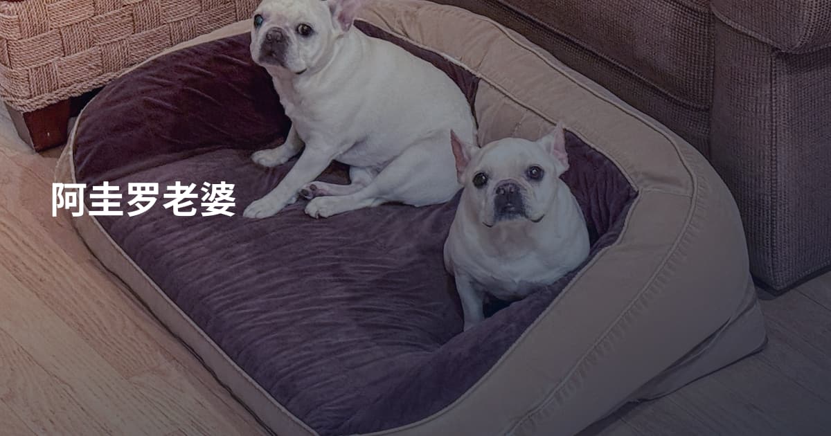 阿圭罗老婆