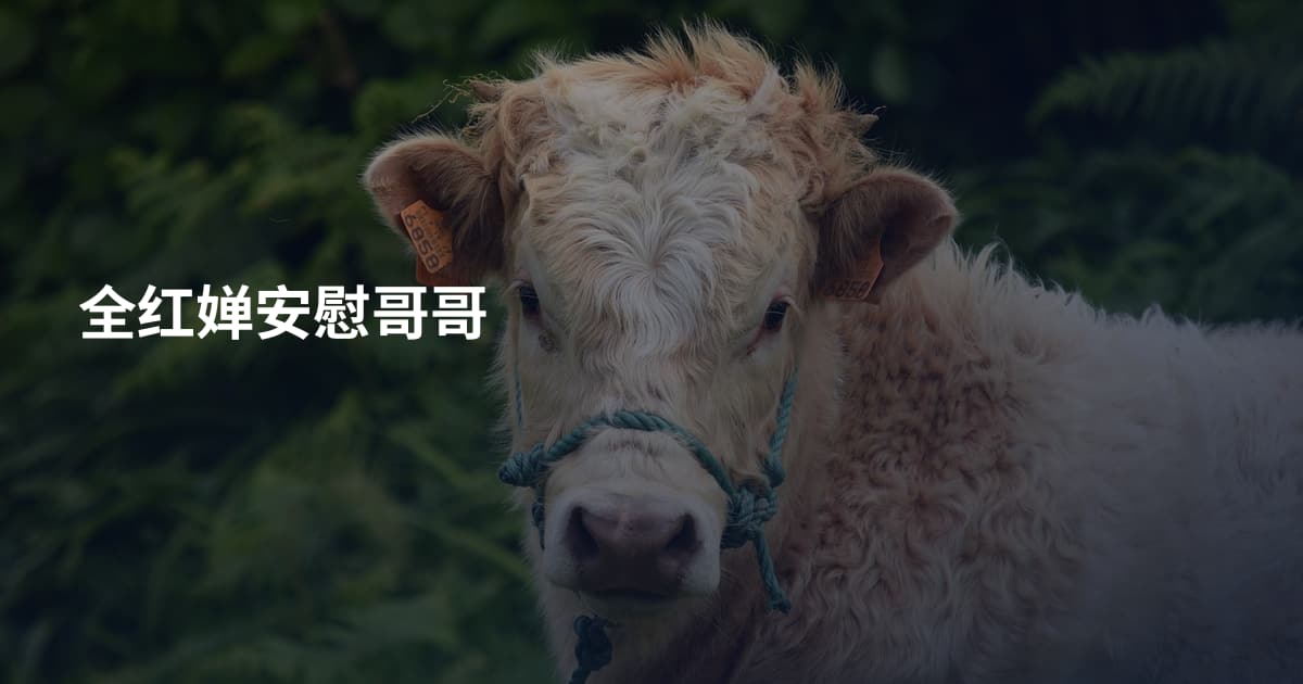 全红婵安慰哥哥