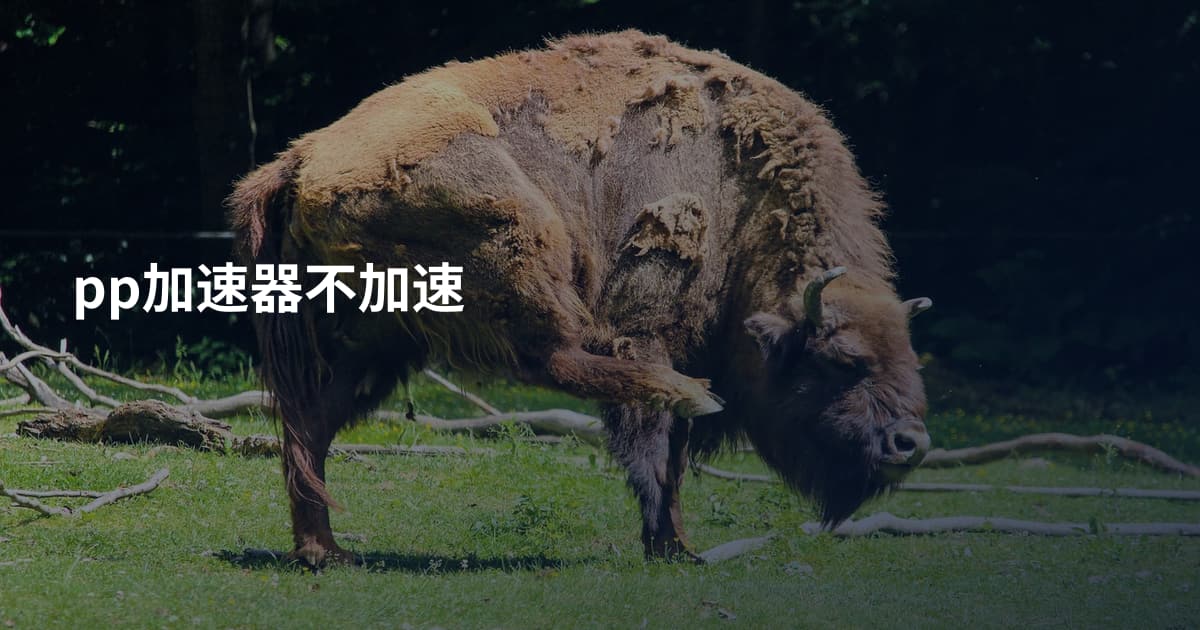 pp加速器不加速