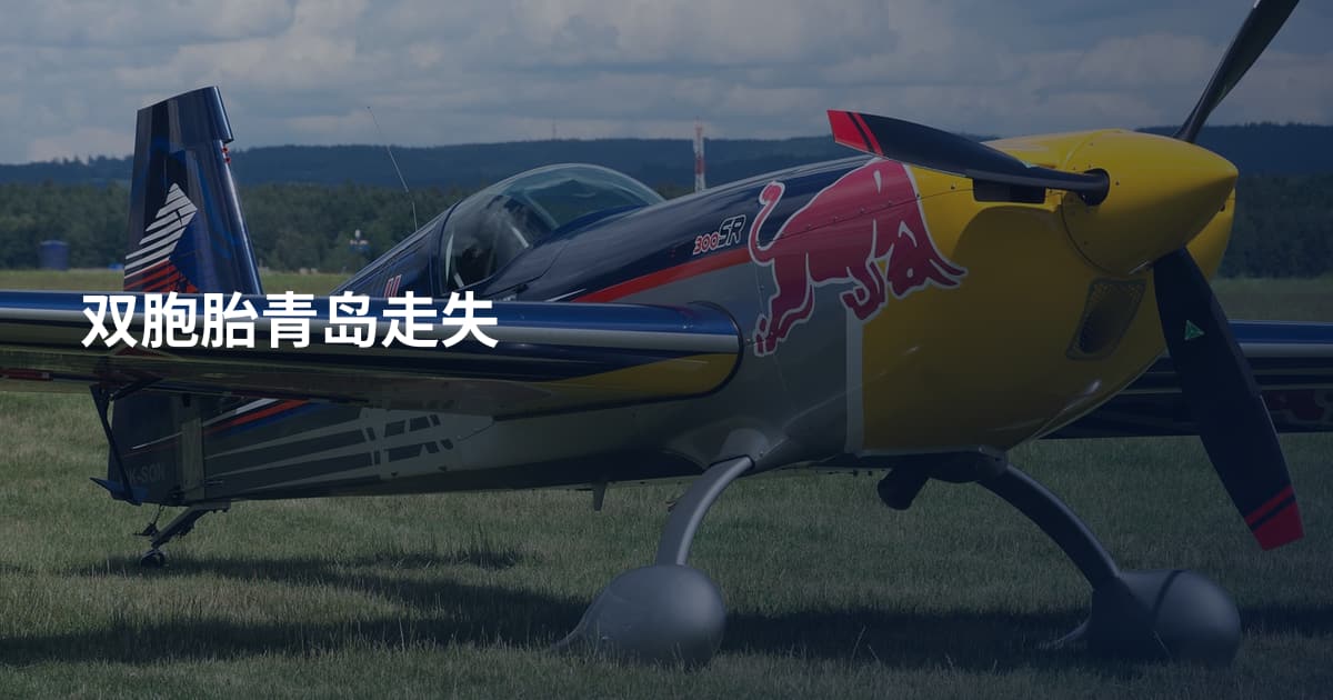 双胞胎青岛走失