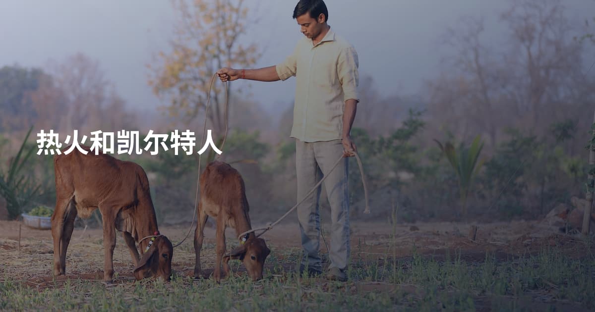 热火和凯尔特人