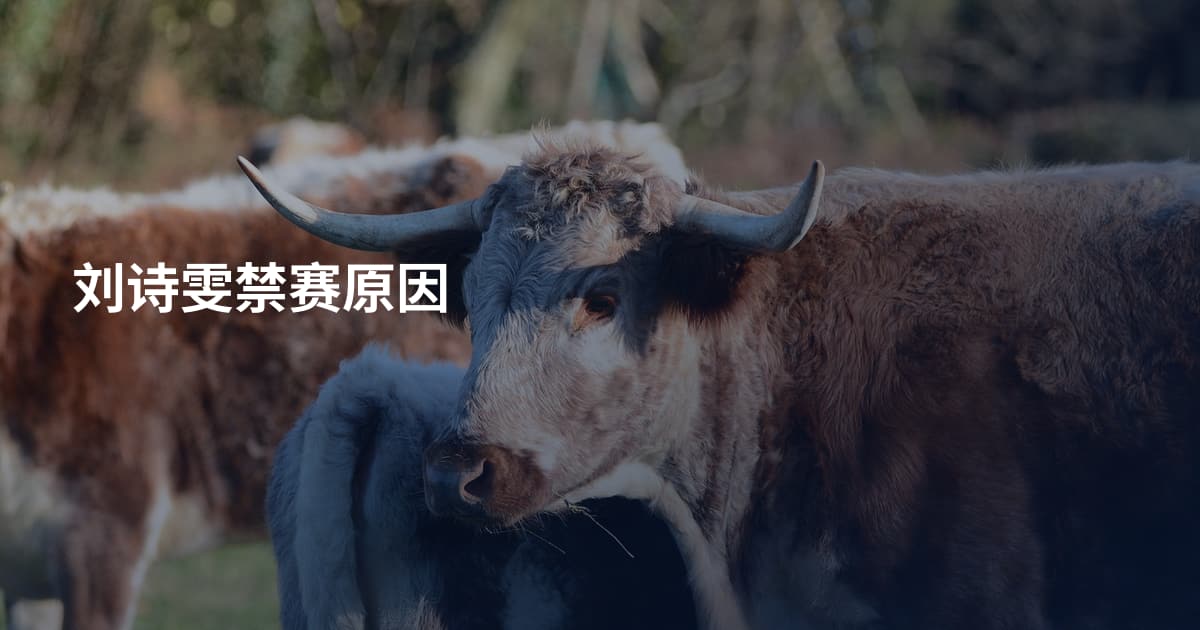 刘诗雯禁赛原因