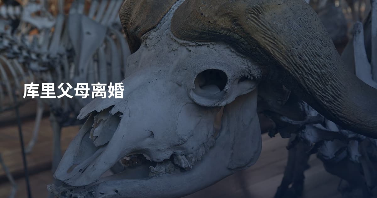 库里父母离婚