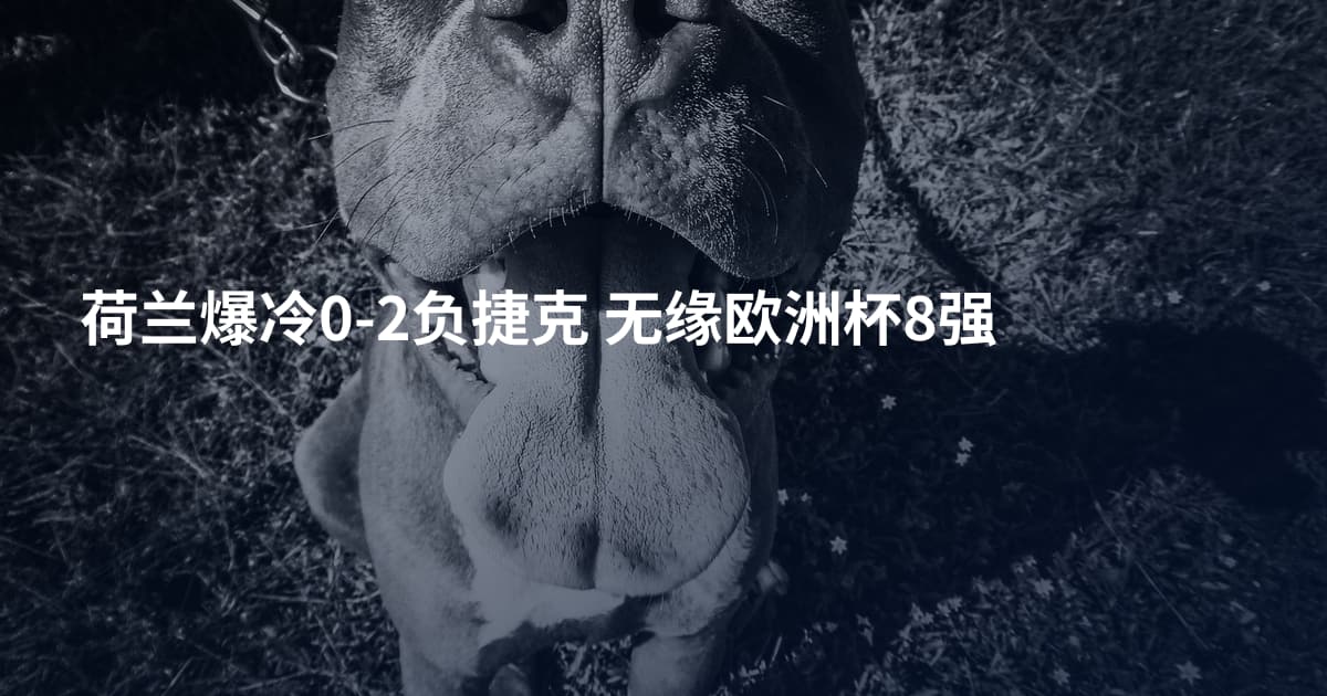 荷兰爆冷0-2负捷克 无缘欧洲杯8强