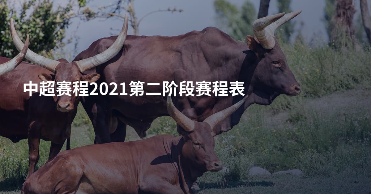 中超赛程2021第二阶段赛程表