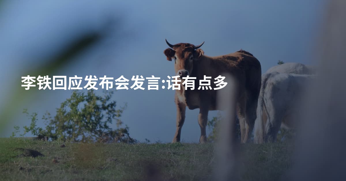 李铁回应发布会发言:话有点多