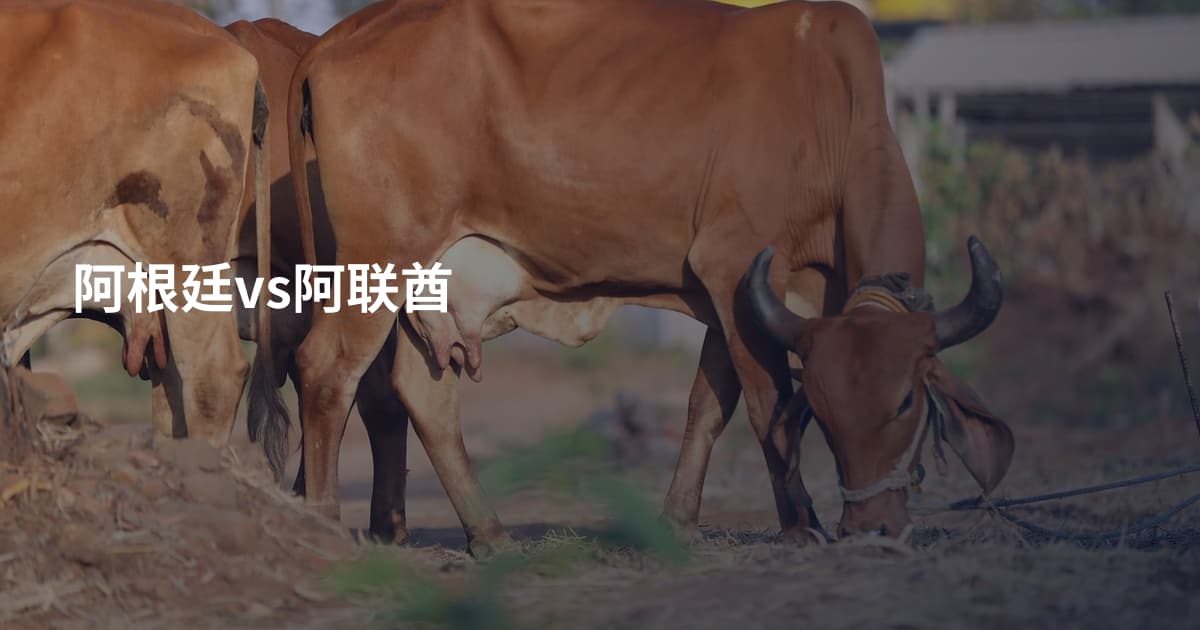 阿根廷vs阿联酋