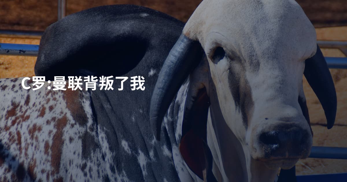 C罗:曼联背叛了我