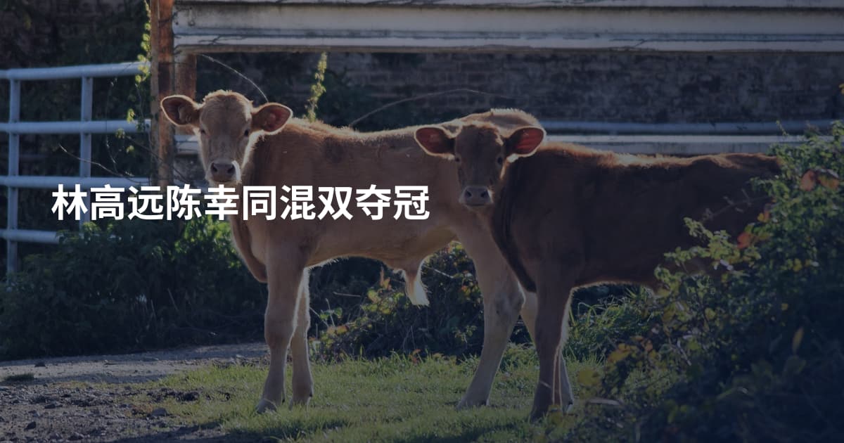 林高远陈幸同混双夺冠