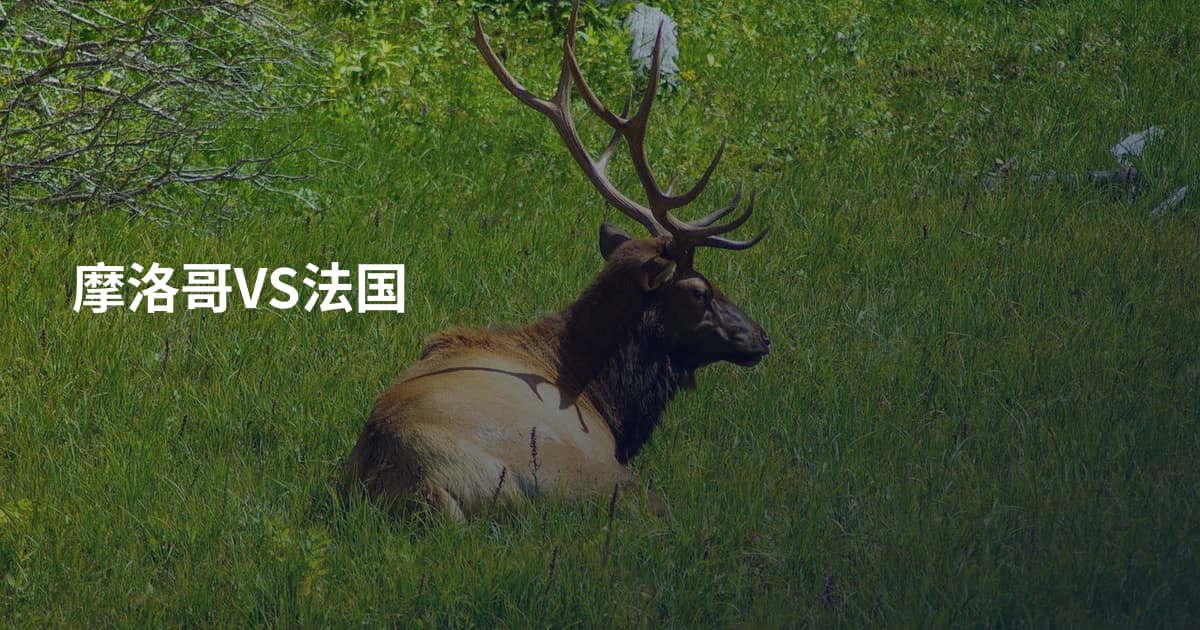 摩洛哥VS法国