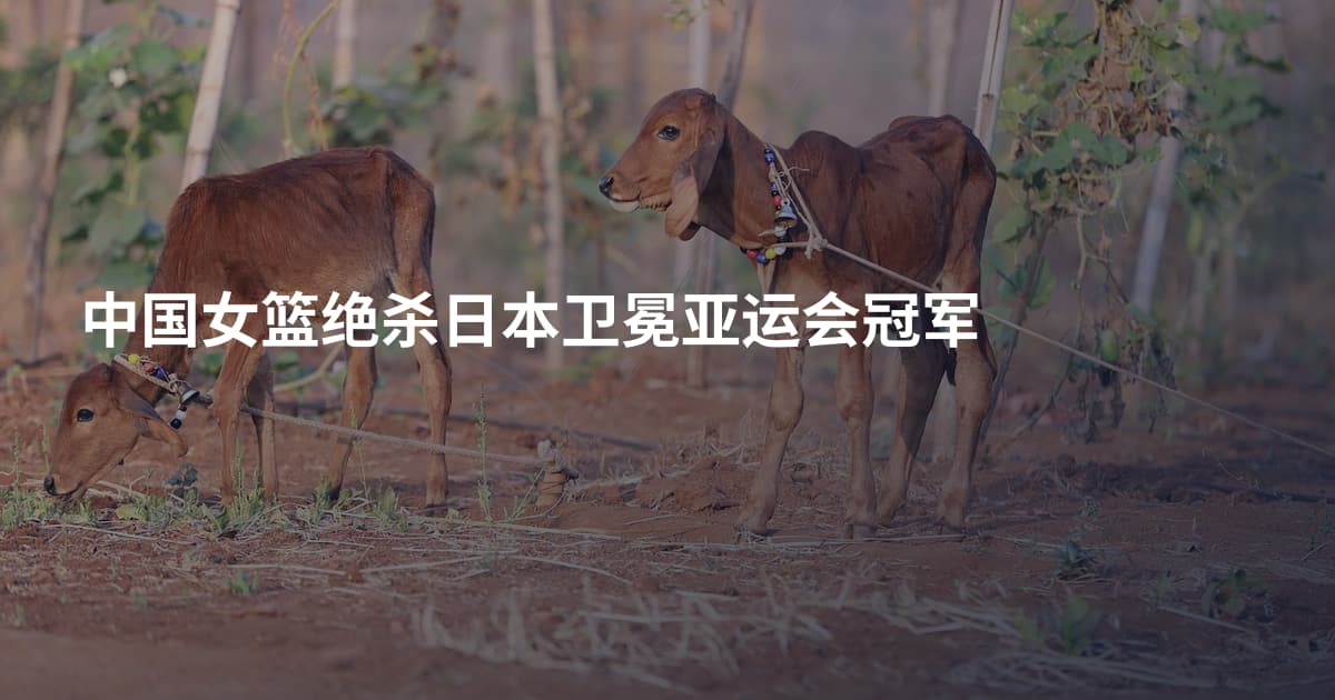 中国女篮绝杀日本卫冕亚运会冠军