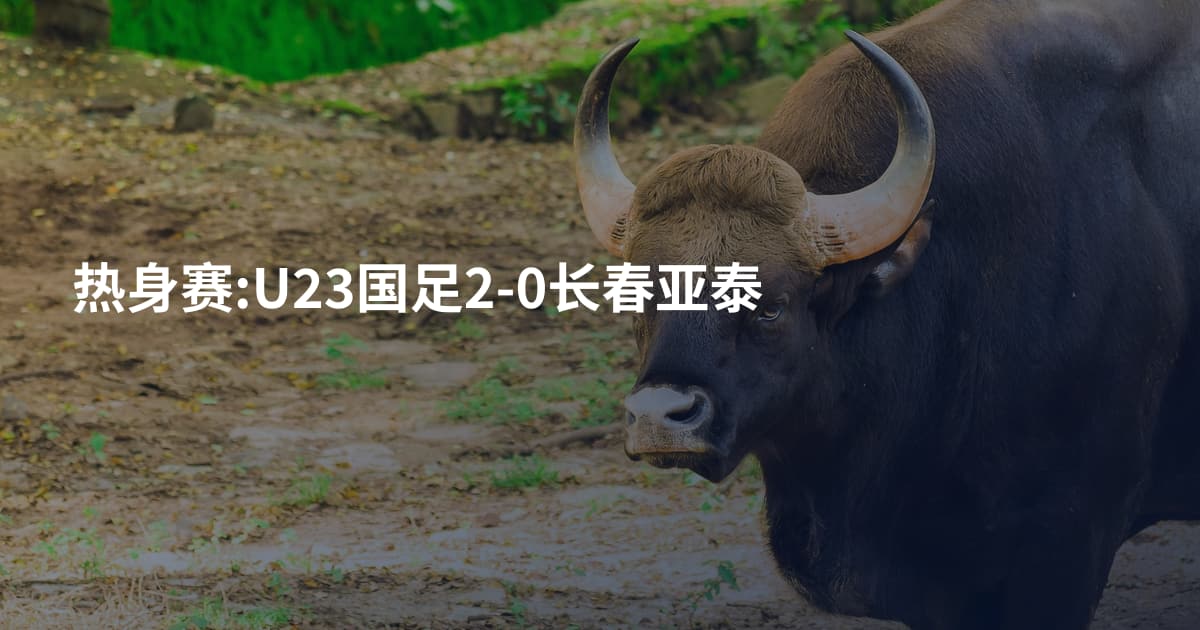 热身赛:U23国足2-0长春亚泰