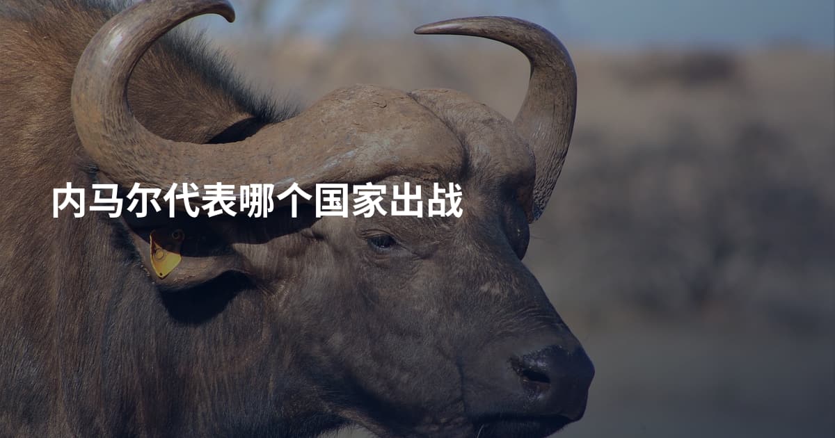 内马尔代表哪个国家出战