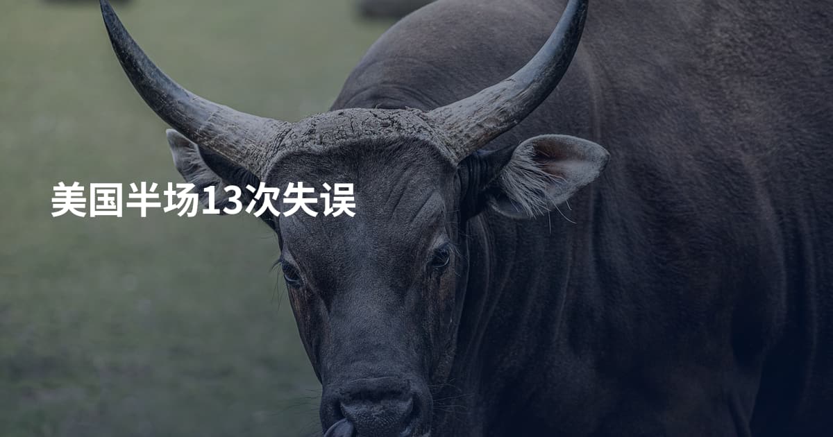 美国半场13次失误