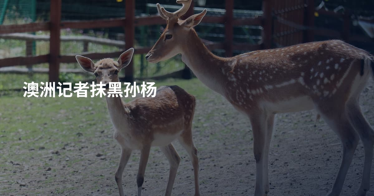 澳洲记者抹黑孙杨