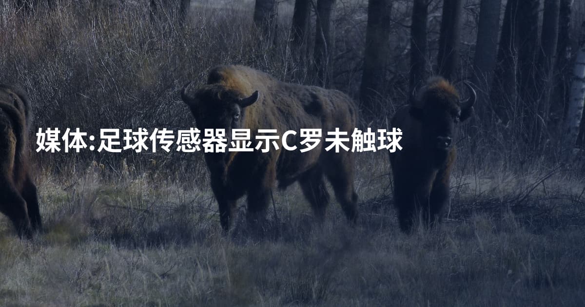 媒体:足球传感器显示C罗未触球