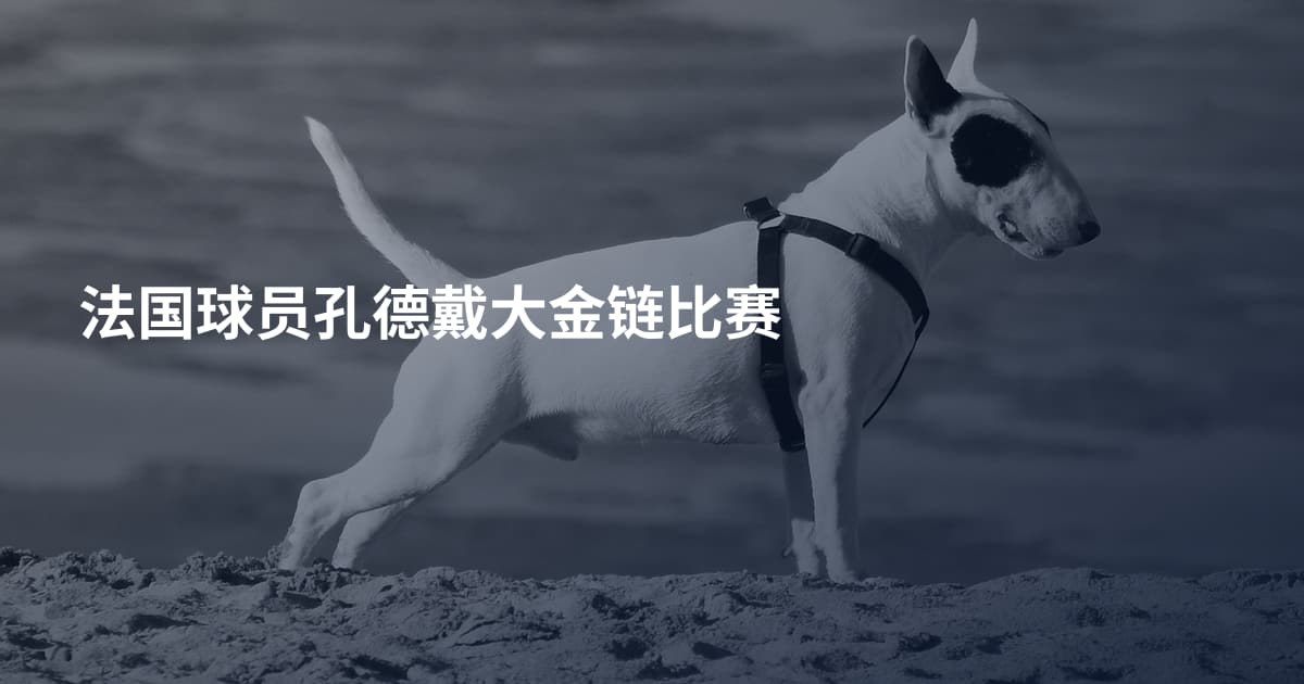 法国球员孔德戴大金链比赛