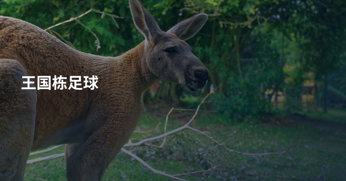 王国栋足球