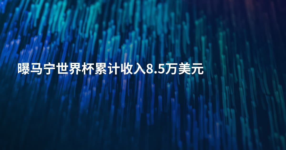曝马宁世界杯累计收入8.5万美元