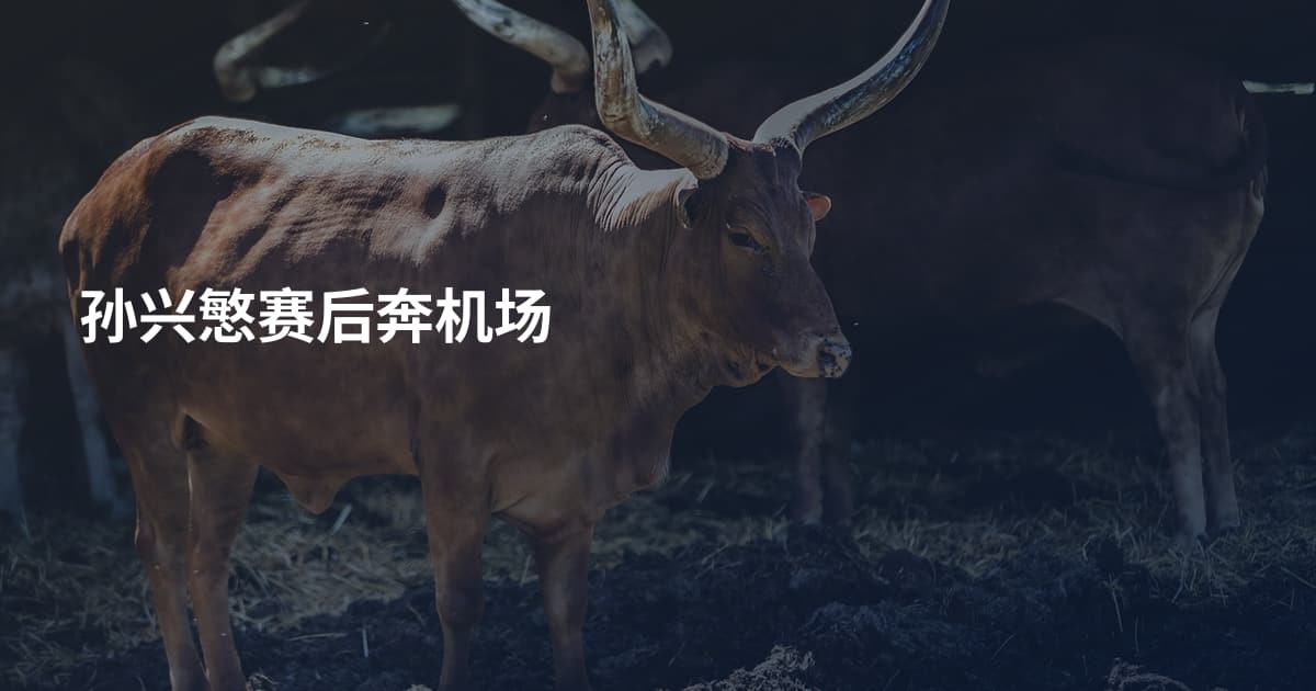 孙兴慜赛后奔机场