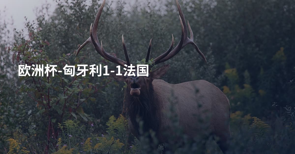 欧洲杯-匈牙利1-1法国