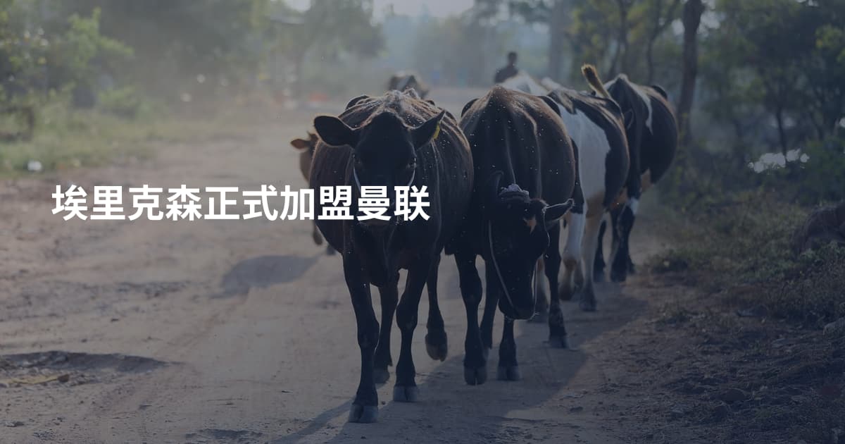 埃里克森正式加盟曼联