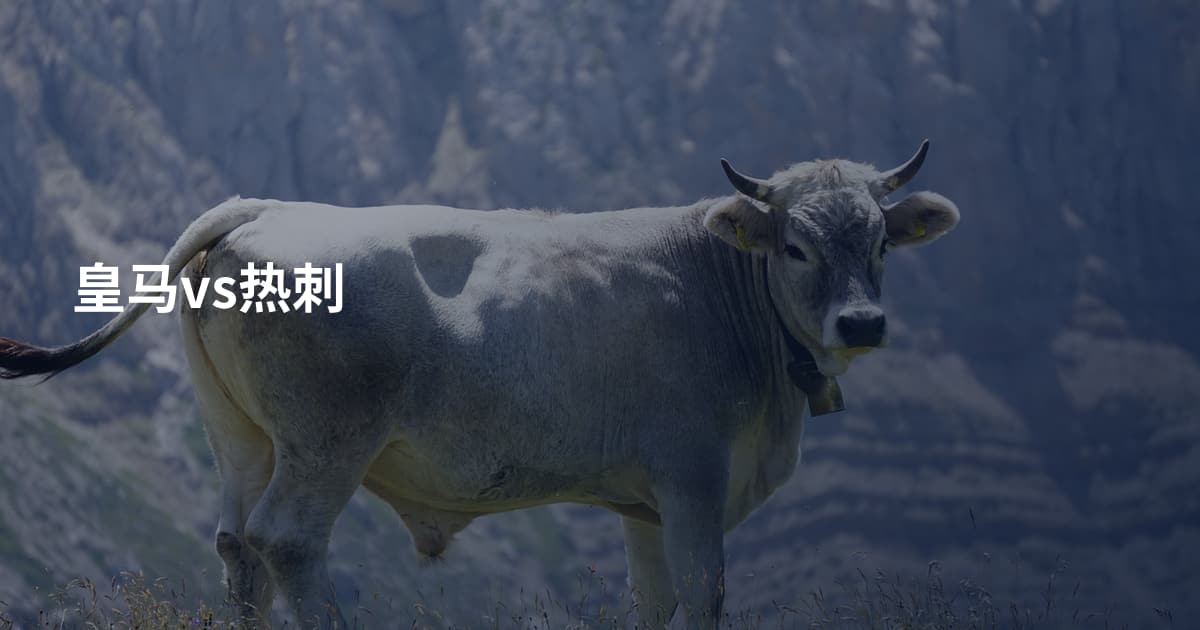 皇马vs热刺