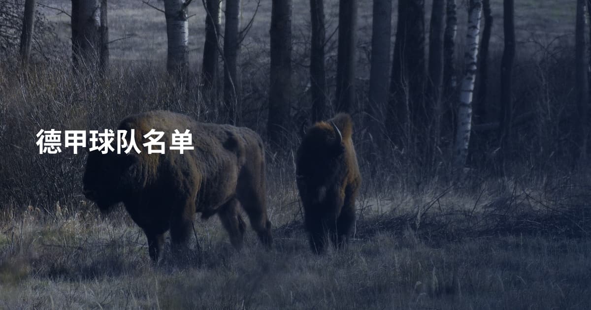 德甲球队名单