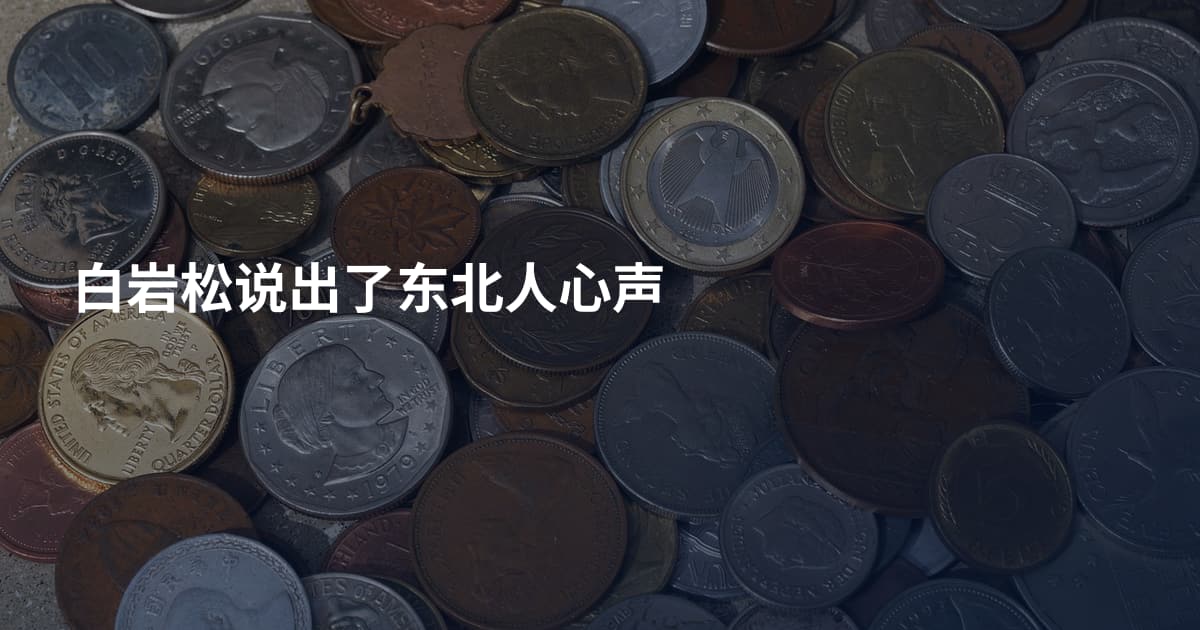白岩松说出了东北人心声