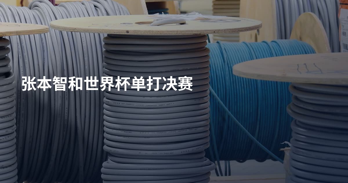 张本智和世界杯单打决赛