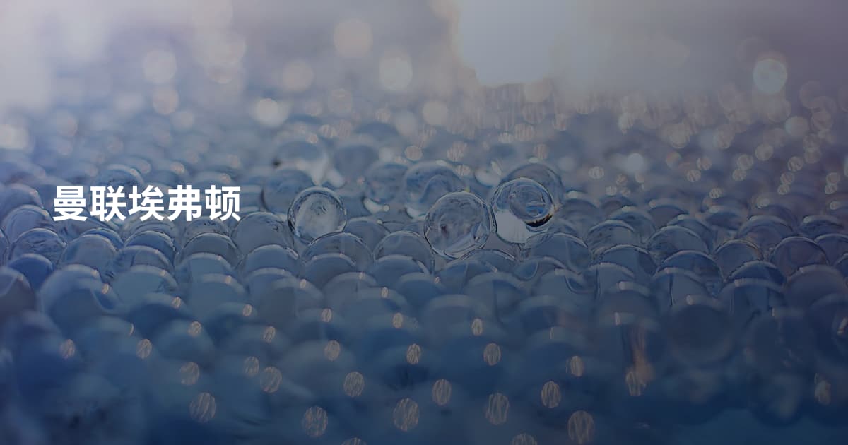 曼联埃弗顿