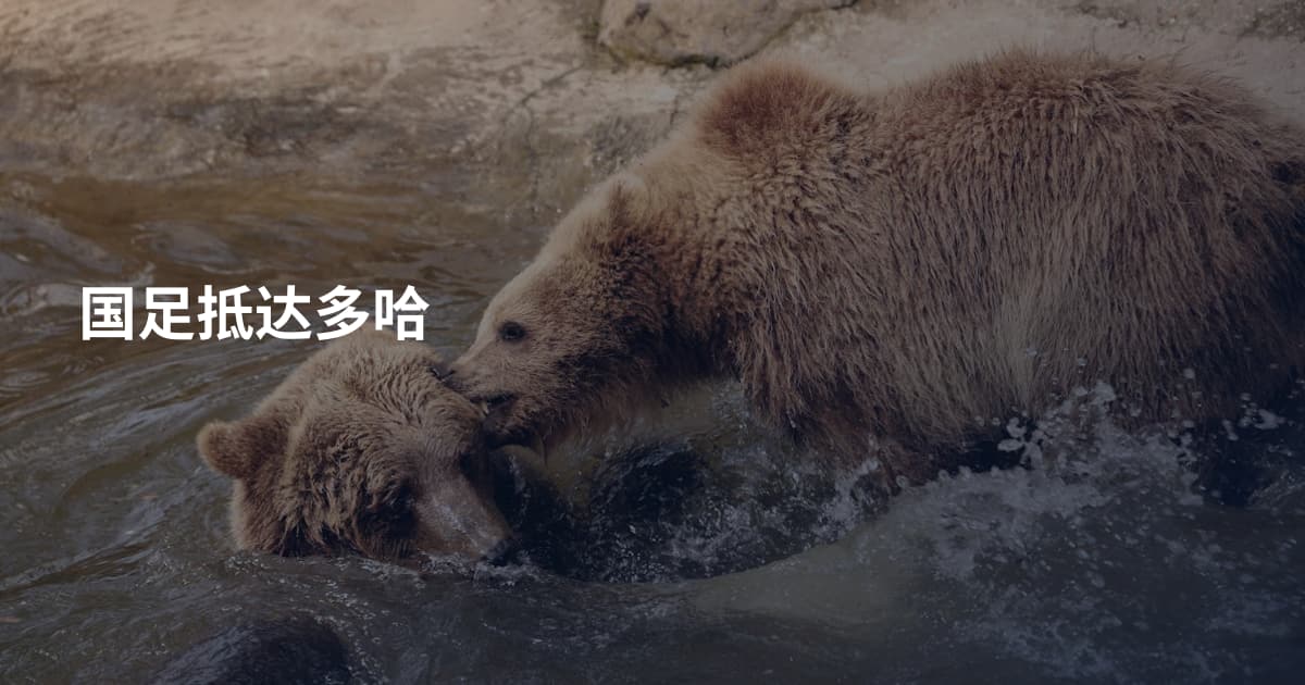 国足抵达多哈