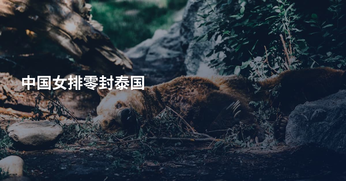 中国女排零封泰国