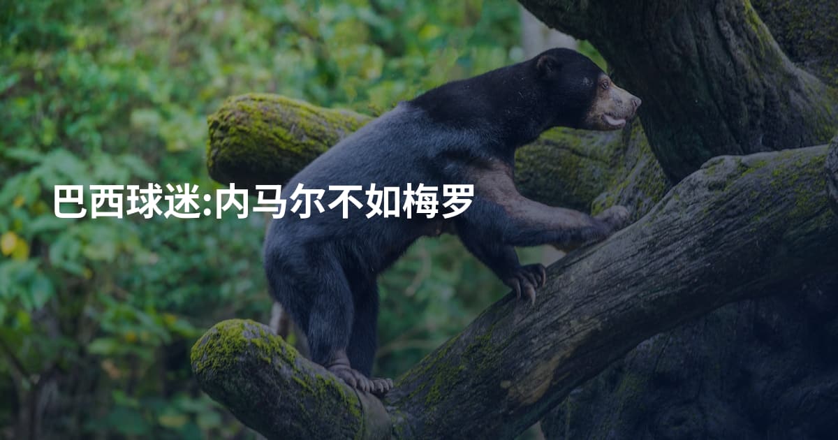 巴西球迷:内马尔不如梅罗