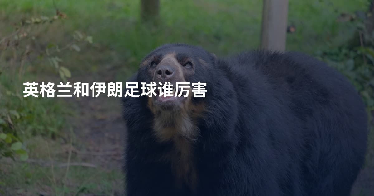 英格兰和伊朗足球谁厉害
