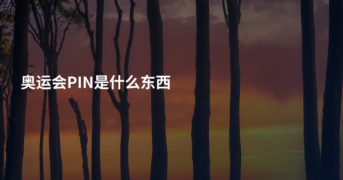 奥运会PIN是什么东西